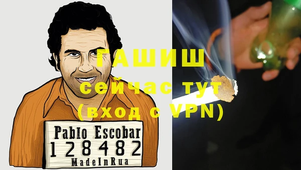 прущие грибы Абинск