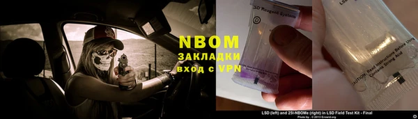 прущие грибы Абинск