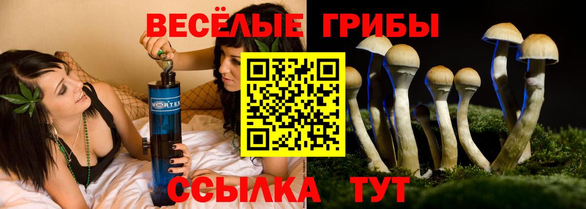 Галлюциногенные грибы Magic Shrooms Кудымкар