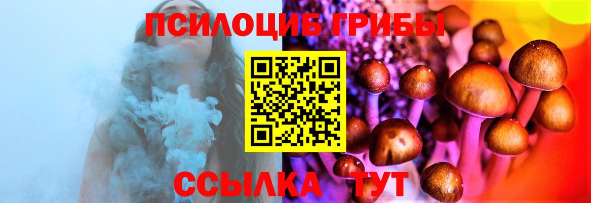 Кудымкар  Галлюциногенные грибы прущие грибы  цена   Галлюциногенные грибы прущие грибы  Вход с VPN 